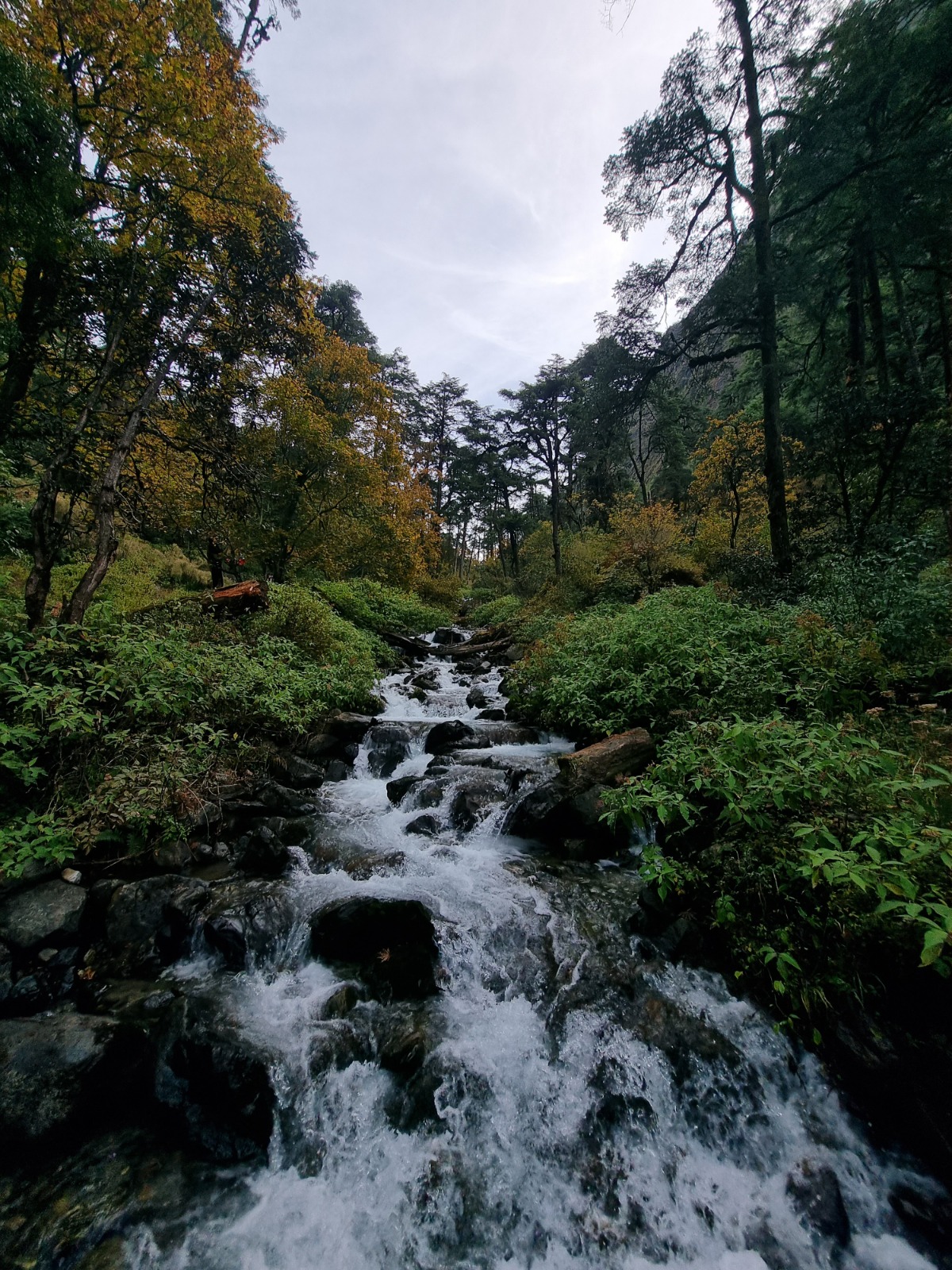 HikeHigh Nepal adventure photo 6 - Himalayan trekking and mountaineering